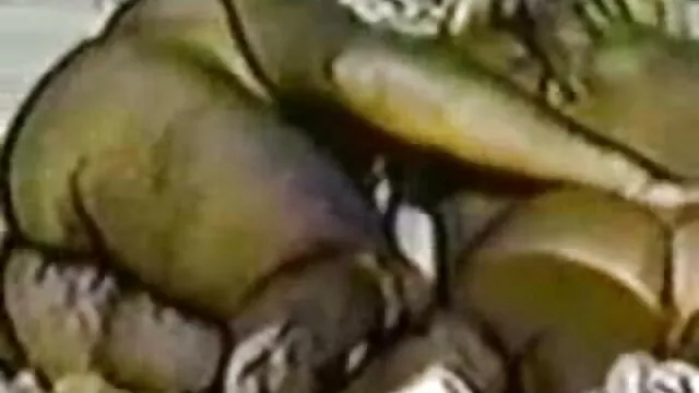 熱い姉妹クソ エロメン エロ 動画