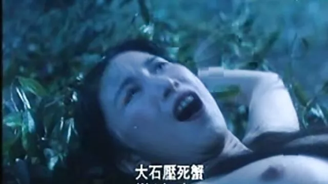 アジアの家庭内暴力とうめき声は男です 女性 用 アダルト 動画 無料