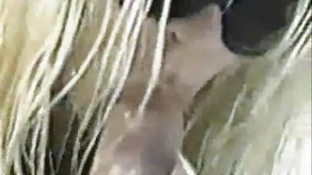 ピアスコックで滑ります 女 の ため の エロ 動画